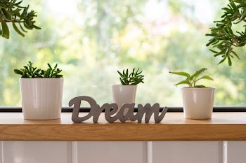 Green Leafed Plants