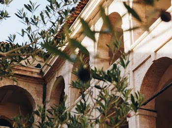 Green Leafed Plants