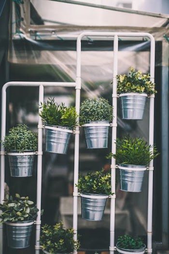 green leafed plants and pot on rack near wall