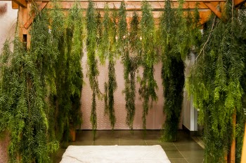 Green-leafed Plants Hanging on Rack