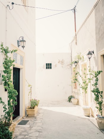 Green Leafed Plants in Pot Near Narrow Pathway Beside Buildings