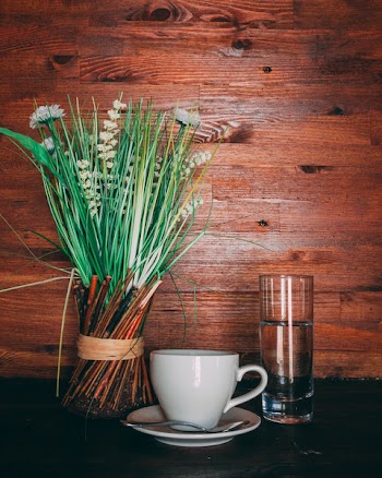 Green Leafed Plants Near White Ceramic Teacup and Saucer