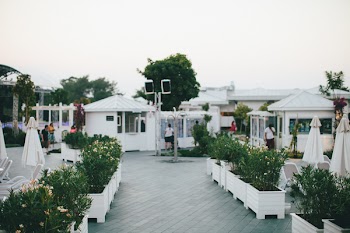 Green Leafed Plants on White Flower Pots Near Gazebos