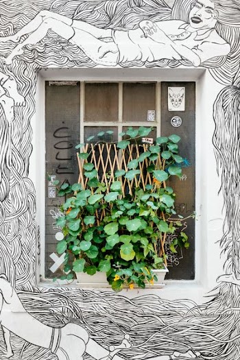 green leafed plants on white plant pot