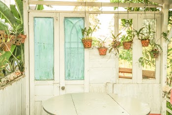 Green-leafed Plants Potted on Pots