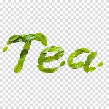 Green leafed tea-text illusstration, Green tea Keemun Yum cha Hyson, Green tea leaves transparent background PNG clipart