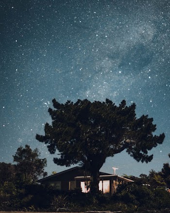 Green-leafed Tree in Front of a House Under a Starry Sky during Nighttime