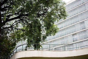 Green-leafed Tree Near Concrete Building