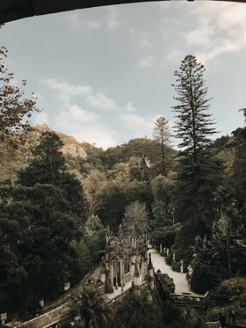 Green-leafed Trees
