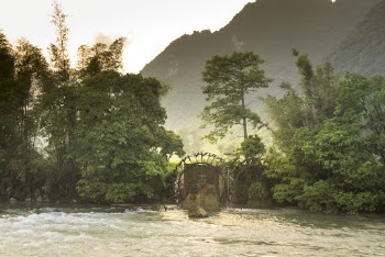 Green-leafed Trees Along The River