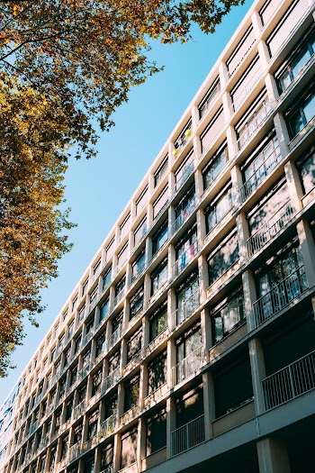 Green-leafed Trees Beside White Concrete Multi-storey Building