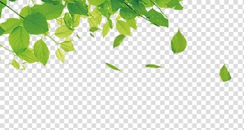 Green leafed trees, Green Leaf Gratis Computer file, Leaves transparent background PNG clipart