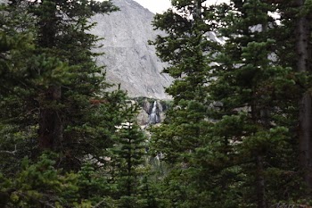 Green Leafed Trees Near Mountain