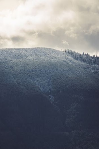 green leafed trees on mountain under white clouds