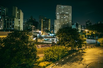 Green Leafed Tress on Street at Night