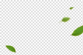 Green leafs , Leaf Angle Pattern, Leaves transparent background PNG clipart