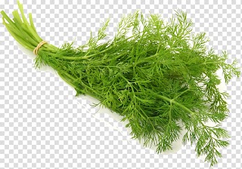 Green leafy vegetable, Dill Herb Vegetable Seed Salad, Chrysanthemum ingredients transparent background PNG clipart
