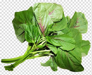 Green leafy vegetable , Spinach Amaranthus viridis Amaranthus dubius Love-Lies-Bleeding Chard, Amaranth Leaves transparent background PNG clipart