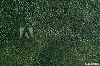 Green leather background