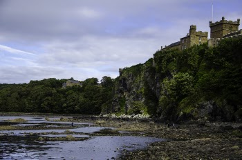 Green Leaved on Mountain With Castle