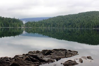 Green Leaved Trees Across Body of Water Under Dark Cloudy Sky