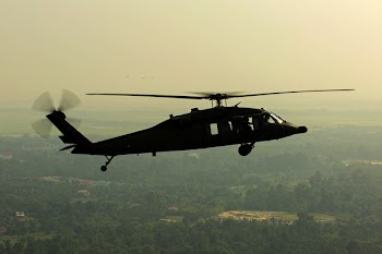 Green Leaved Trees Under Black Helicopter