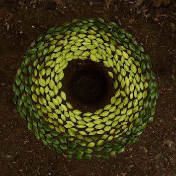 green leaves