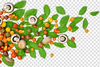 Green leaves and mushrooms, Superfood Vegetable Natural foods, healthy food transparent background PNG clipart