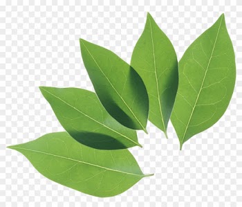 Green Leaves Background Png Image - Leaf Png