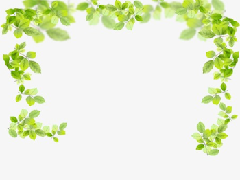 Green Leaves Border, Green, Leaf, Frame PNG Image and Clipart for ...