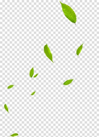 Green leaves, Green Banner, leaf transparent background PNG clipart