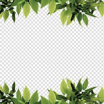Green leaves , Green Leaf Computer file, Green leaves border transparent background PNG clipart