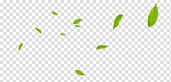Green leaves , Green Pattern, Floating leaves transparent background PNG clipart