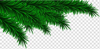 Green leaves illustration, Christmas , Christmas Pine Branches Decorating transparent background PNG clipart