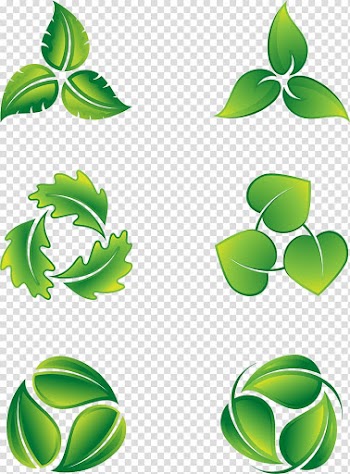 Green leaves illustration, Leaf Logo Icon, green leaves eco-icon transparent background PNG clipart