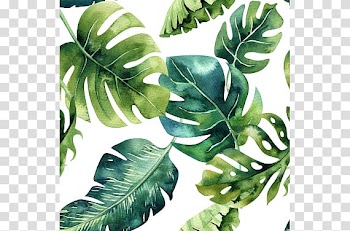 Green leaves illustration, Paper Tropics Drawing Painting, painting transparent background PNG clipart