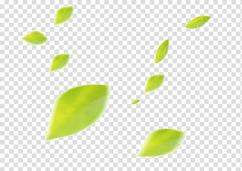 Green leaves , Leaf, Floating Leaf transparent background PNG clipart