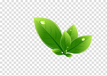 Green leaves , Leaf Green, leaf transparent background PNG clipart