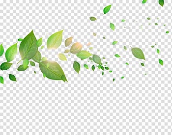 Green leaves , Leaf, Leaves transparent background PNG clipart
