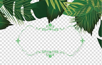 Green leaves , Leaf Template, Summer leaves decorative material transparent background PNG clipart