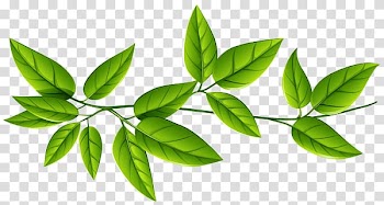 Green leaves, Leaves Group Line transparent background PNG clipart