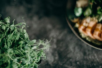 Green Leaves on Black Round Plate