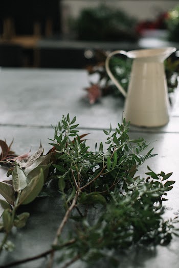 Green Leaves on Table