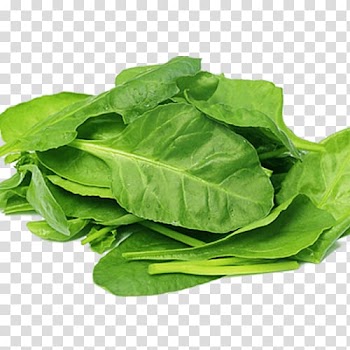 Green leaves, Organic food Spinach salad Nutrient Leaf vegetable, spinach transparent background PNG clipart