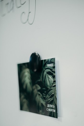 Green Leaves Painting on Wall