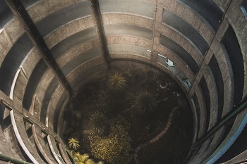 Green Leaves Plants Beside Brown Snake in Barrel