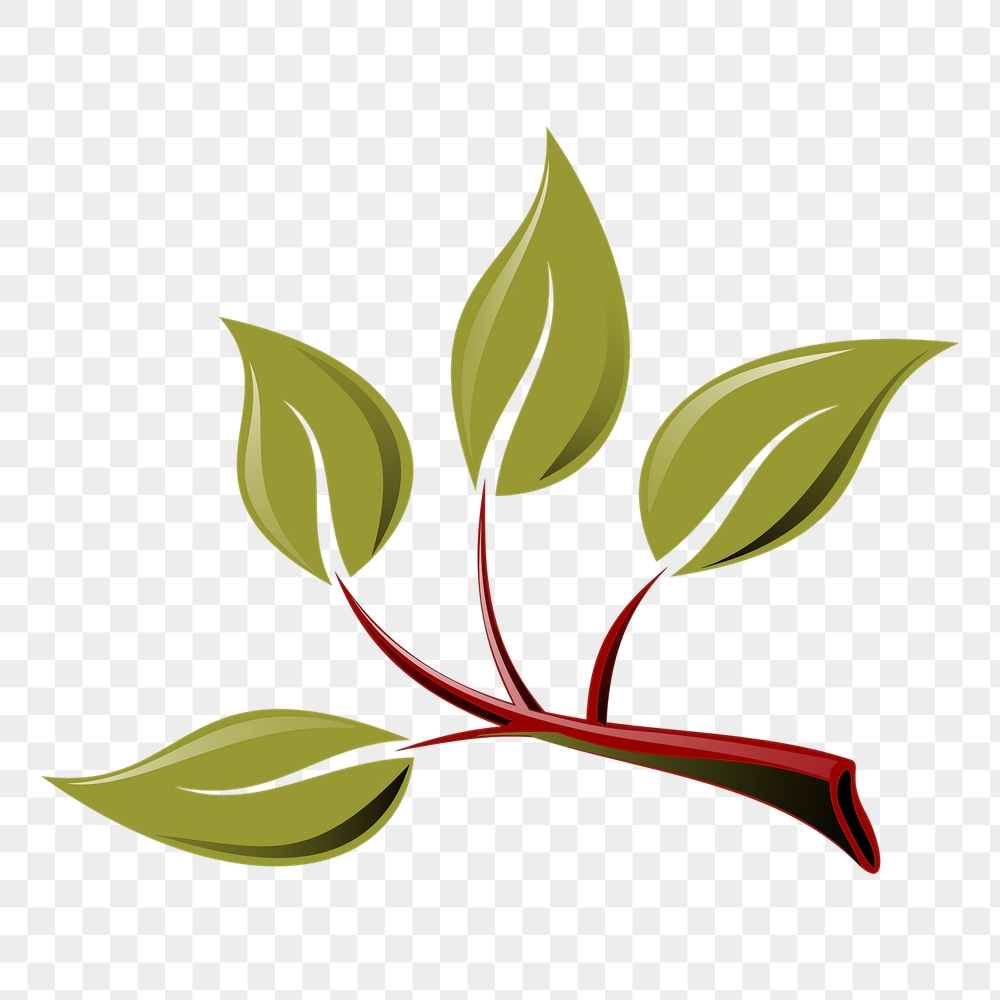 Green leaves png sticker, plant | Free PNG - rawpixel