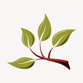 Green leaves sticker, plant illustration | Free Vector - rawpixel
