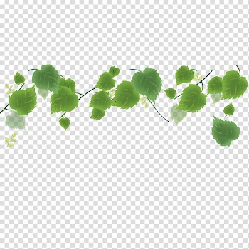 Green leaves transparent background PNG clipart