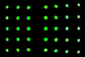 green LEd lights